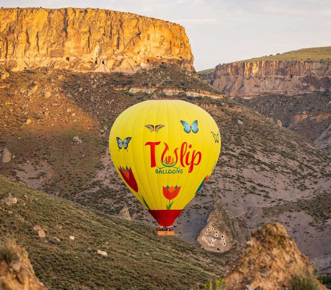 Hot air balloon flight over the Soğanlı canyon